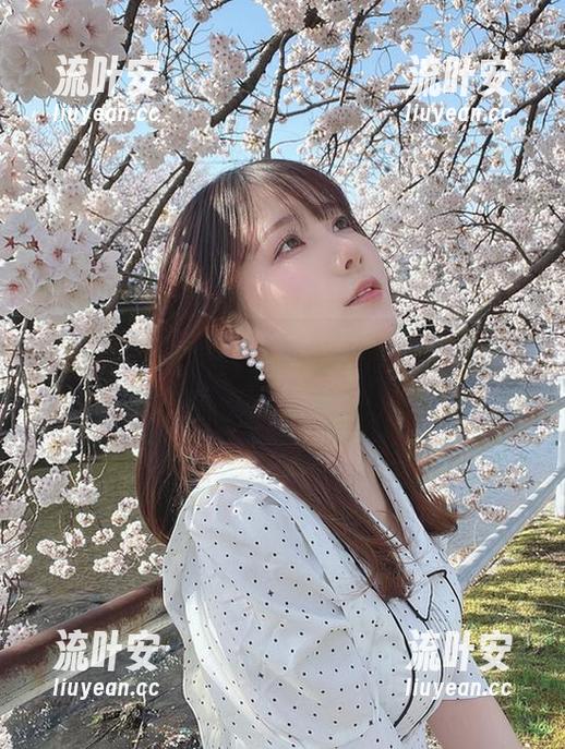 けん研(けんけん)新作：女仆角色的最新作品集，喜欢就靠谱吧？