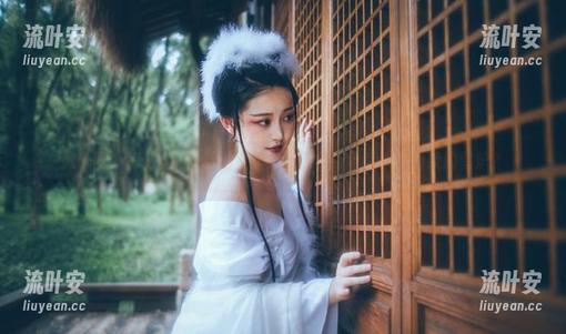 微密圈 - 好H好女杀手的壁炉，我要免费下载来装扮我的壁炉？