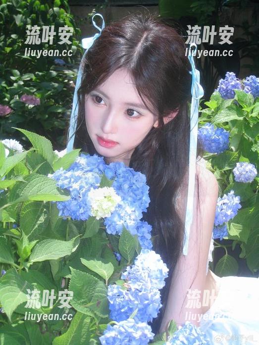 假装清纯的小甜心，怡子yiii的写真集下载可以吗？