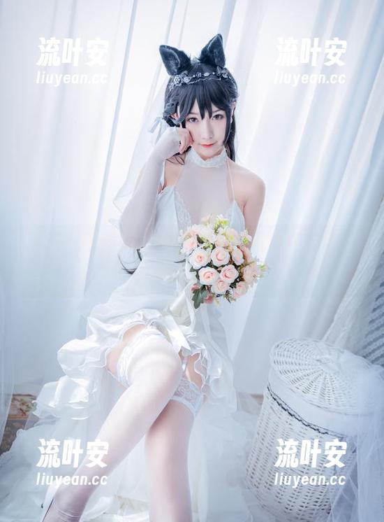 再吃一口猫九酱的甜蜜：图集中还有哪些“女孩”等着你？